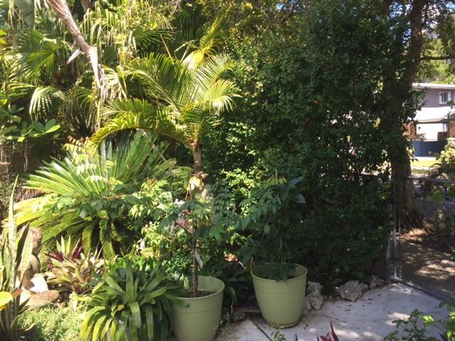 The Wild Rose Villa Miami Dış mekan fotoğraf